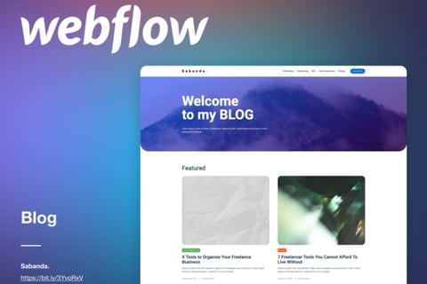 Webflow Templates project