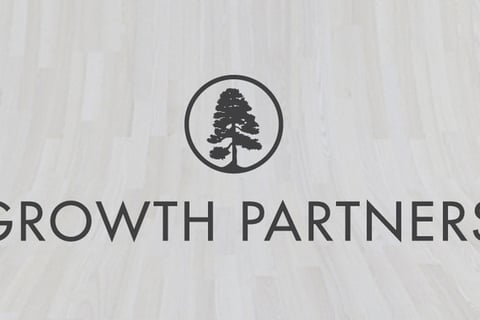 Financial Model and Equity Raise project