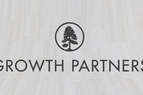 Financial Model and Equity Raise project