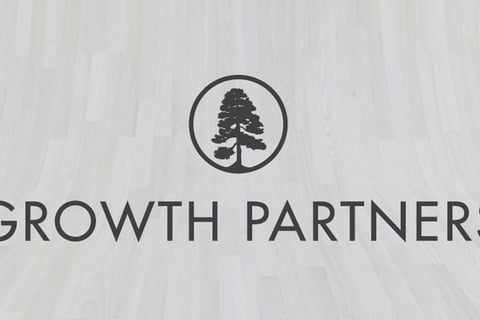 Monthly Fractional CFO in a Growing Startup project