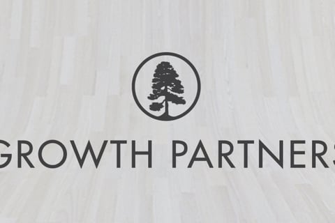 Monthly Fractional CFO in a Growing Startup project