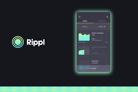 Rippl project