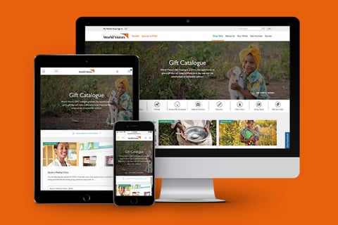 World Vision - Cart Improvements project