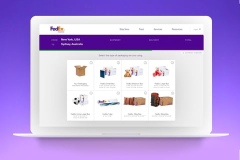 Lead UI/UX Designer for FedEx Online Experience project