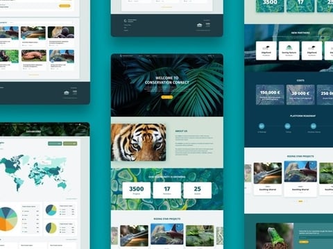 Conservation Connect Online Platform project
