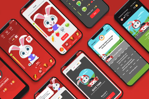 Bunny Buddy Gamification project