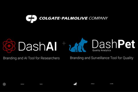 Branding & PD – AI Research Chat Tool project