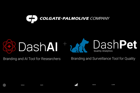 Branding & PD – AI Research Chat Tool project
