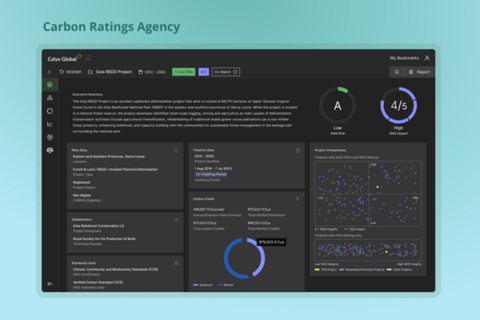 Carbon Ratings Agency Dashboard project