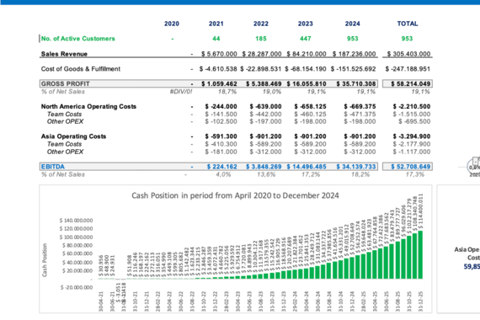Financial Model - Budget and Planning project