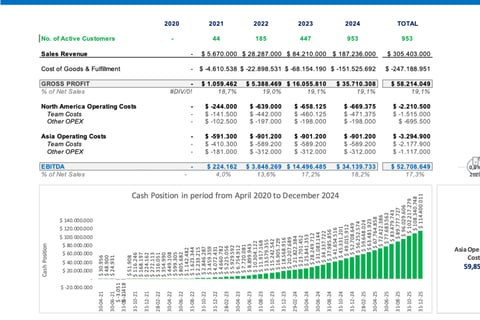 Financial Model - Budget and Planning project