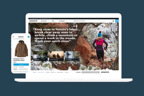 Patagonia project