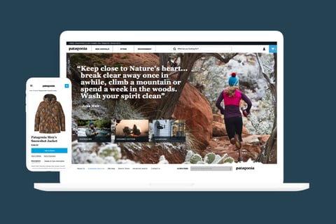 Patagonia project