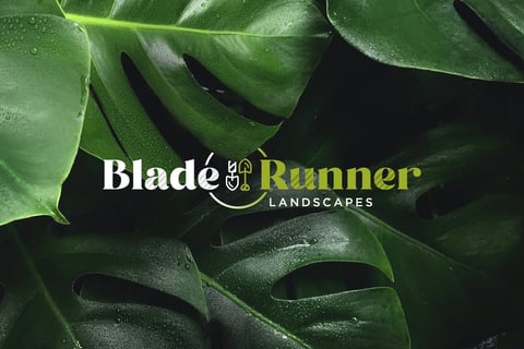 Blade Runner l Brand and Web project