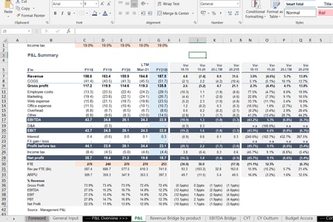 P&L Financial Due Diligence Model project