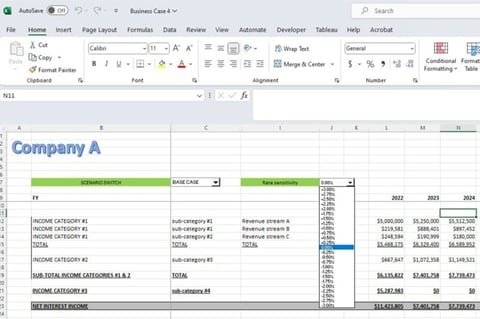 Extract from Annual Financial Statements with Scenario and Sensitivity Analysis project