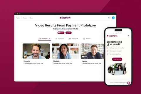 Testflow | Design Ideation and Product-market Fit project