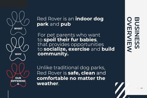 Indoor Dog Park Business Development project