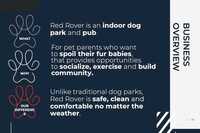 Indoor Dog Park Business Development