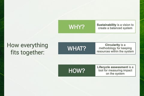 Sustainability and Circular Innovation project