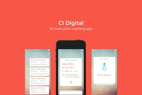 CI Digital project