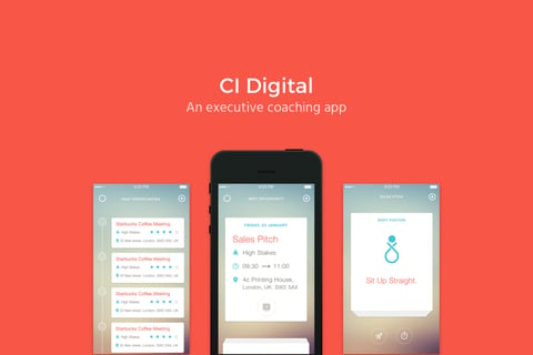 CI Digital project