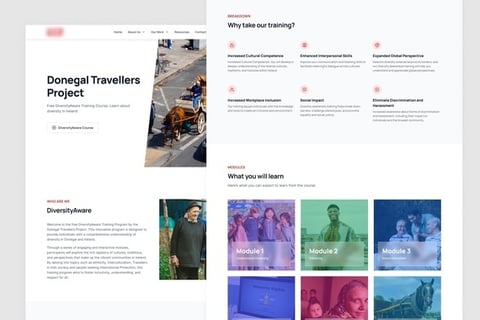 Designing an Online Learning Platform and Website project