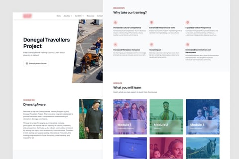 Designing an Online Learning Platform and Website project