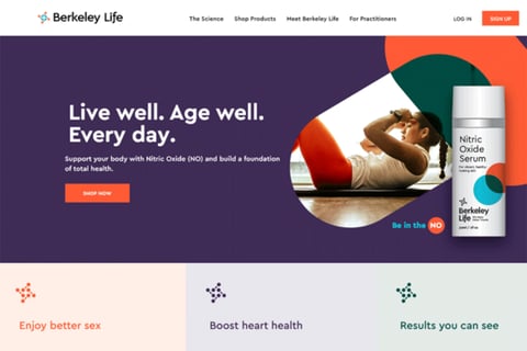 Copywriting, Content Writing, and UX Writing for Berkeley Life project