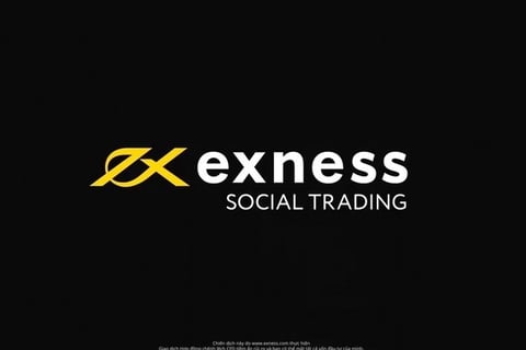 Trading Platform | Design & Localization project