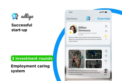 Employment Caring System project