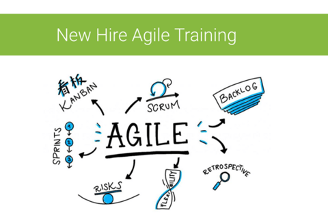 Agile Transformation project