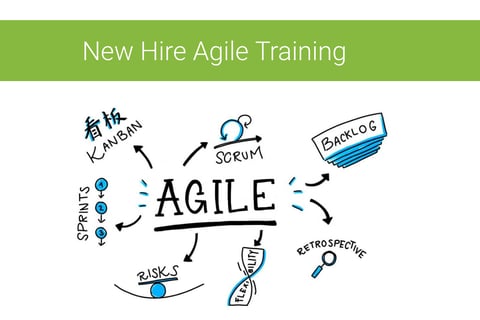 Agile Transformation project