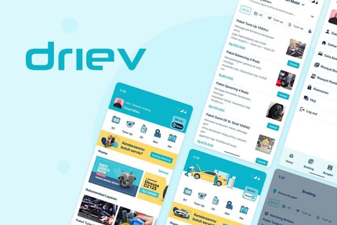 Driev project
