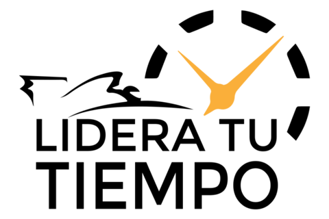 CEO Work for a High-ticket E-learning Startup project
