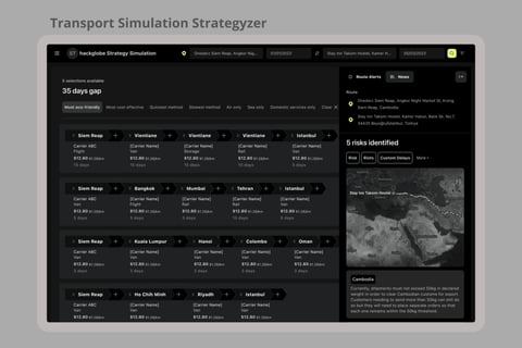 Transport Strategy Simulator project