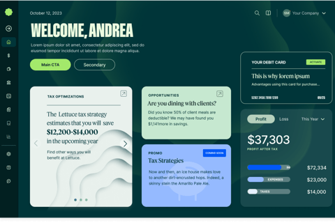 Principal Designer for SaaS Tax/Financial MVP project
