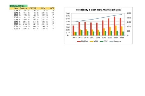 Discounted Cash Flow Valuation for a Private Placement project