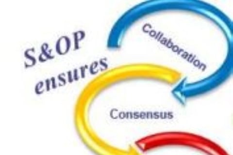 S&OP Obsolescence Committee project