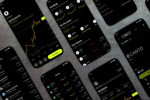 Slingshot Flex App | Cross-chain DeFi Wallet project
