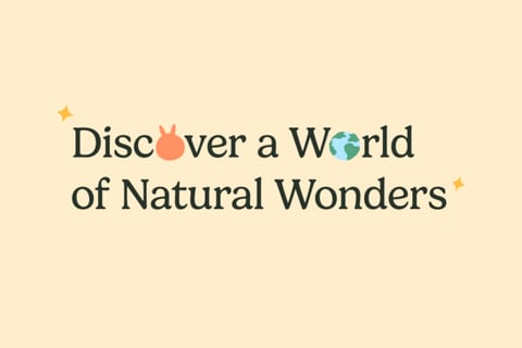 NOVA Wild Zoo project