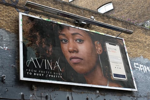Avina project