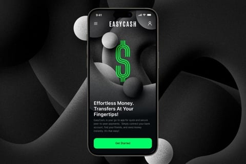EasyCash: Your Partner in the Global Trade Arena project