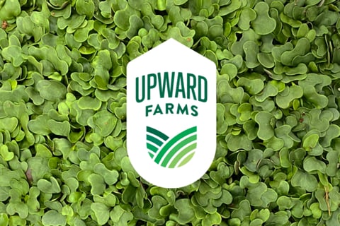 OKR Framework for an AgTech CPG Company project