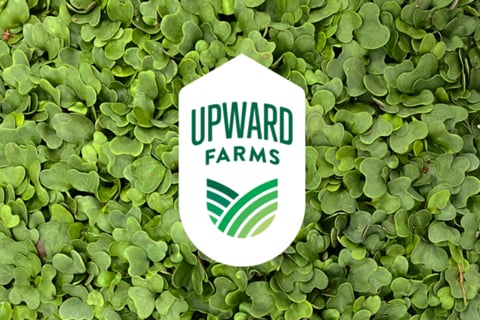 OKR Framework for an AgTech CPG Company project