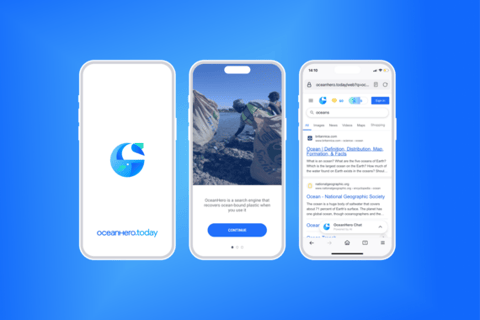 Search Engine Branding and Product/Experience Design project
