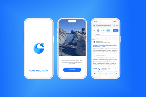 Search Engine Branding and Product/Experience Design project