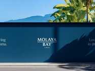 Brand and Web Design for a Luxury Real Estate Development