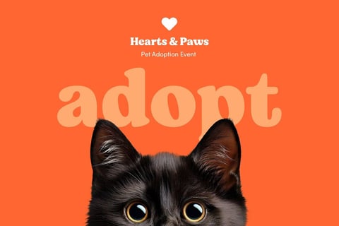 Heart & Paws Adoption Event | Presentation project