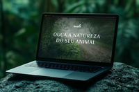 Boske: Website for a Pet Bed Concept